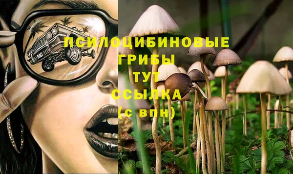 MDMA Алексин