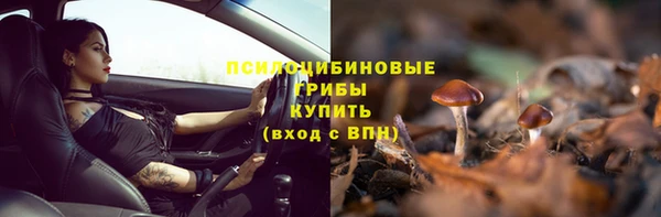 apvp Арсеньев